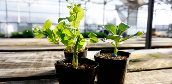 農業でのお困りごと、相談してください！
